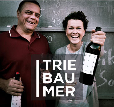 Weingut Triebaumer  Spitzen-Weine aus Rust