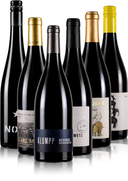 Spätburgunder Wein Probierpaket