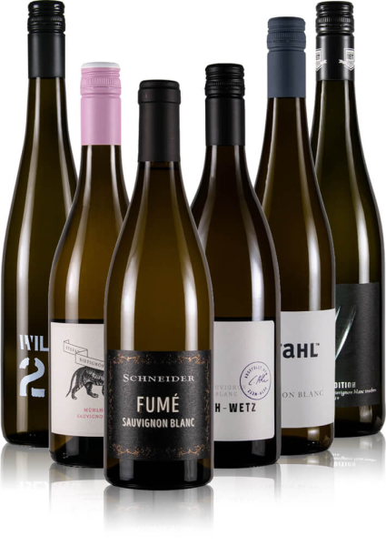 Weinprobierpaket Sauvignon Blanc aus Deutschland
